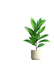 Vibrant indoor plant with lush foliage