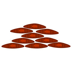 smooth muscle glyph icon