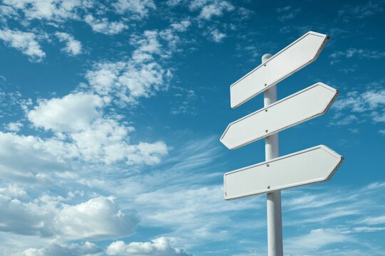 Blank directional signs against a vibrant sky