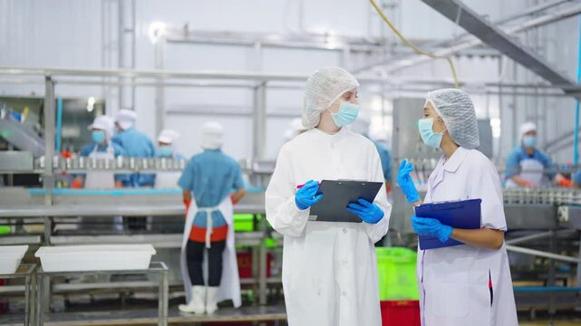 Canned food manufacturing factory industry. Quality control officer inspecting production line. Worker preparing sardines packaging into aluminum cans. Processed food production business entrepreneur.