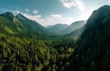 Obraz premium Valley View with Green Trees and Distant Mountains Under Bright Sky