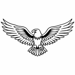 Obraz premium eagle with wings