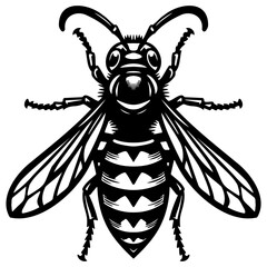 Hornet Bee Sketch Illustration.