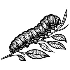 Caterpillar on Leaves Illustration.