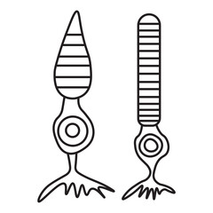 Cone cell and rod cell line icon