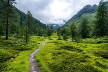 Fototapeta premium Hiking trail crossing a green meadow leading into the foggy mountains