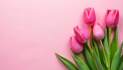Delicate tulips on pink background, symbolizing love and renewal—great for Mother’s Day, 8 March, Easter, or wedding cards.