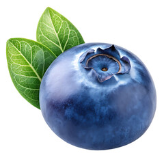 Blueberries with leaves on a white background showing fresh and ripe berries