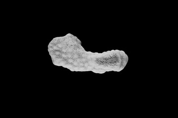 Minimal, abstract, close up of sea coral in black and white on a black background