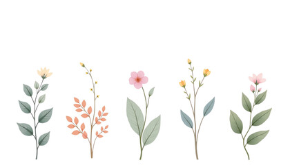 Elegant floral illustration with delicate blooms.