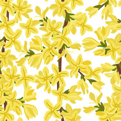 vector drawing seamless pattern with Forsythia tree branch with yellow flowers at white background, hand drawn illustration