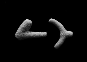 Minimal, abstract, close up of sea coral in black and white on a black background
