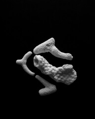 Minimal, abstract, close up of sea coral in black and white on a black background