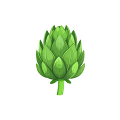 Fresh Green Artichoke Vegetable Illustration