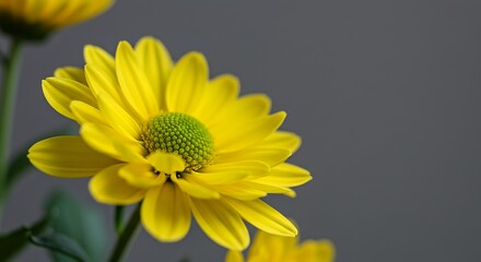 Golden Bloom's Embrace AI Generated