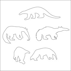 Anteaters are a diverse group of four species of toothless, insect-eating mammals known for their long, sticky tongues and powerful claws.