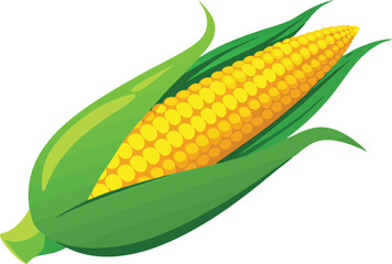Delicious food vector artwork illustration of fresh yellow corn on the cob