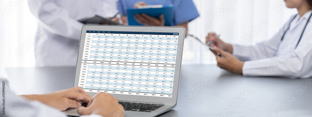 Poster accounting software on computer screen showing financial statement spreadsheets and account balance 