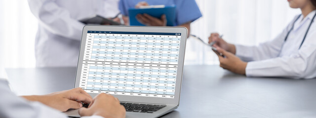 Accounting software on computer screen showing financial statement spreadsheets and account balance...