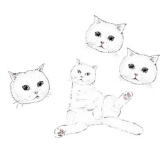 제목 white cat없는 아트워크