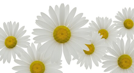 Obraz premium Chamomile Dance AI Generated