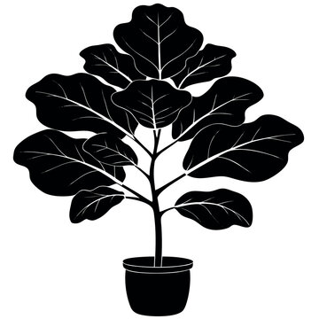 black fiddle leaf fig plant silhouette clip art preview