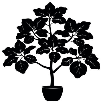 black fiddle leaf fig plant silhouette clip art preview