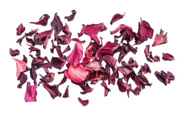 dried rose petals scattered on a white background showcasing the
