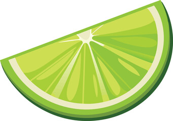  Lime slice isolated vector art work illustration