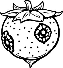 Damaged Strawberry A Detailed Line Art Illustration of a Spoiled Berry