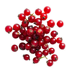 Bengal currants known as Carissa carandas Linn on a transparent background showcasing their vibrant red color, Carissa carandas Linn or Bengal currants on transparent background