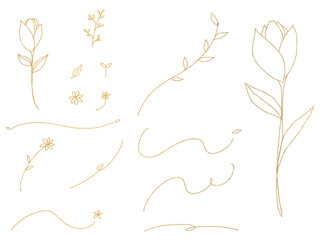 シンプルな花と葉：金色の線画イラストセット © Ayahana