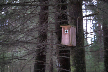 北欧の森の巣箱横向き