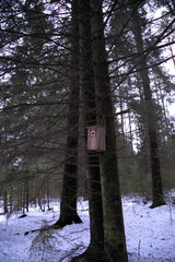 北欧の森の巣箱縦向き