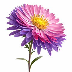 Aster 3D rendered flower elegantly isolated on a white background with vibrant colors and fine realistic textures

