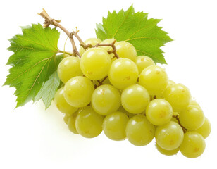 Fresh Green Grapes Bunch with Leaves Isolated on White Background