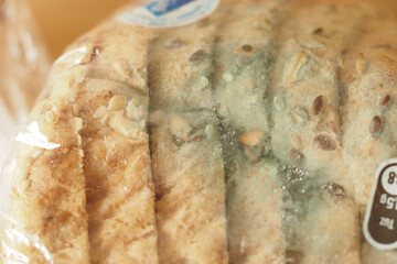 Bread with blue mold indicating spoilage in a packaged state
