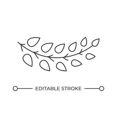 Tree branch with leafage line icon. Fresh nature on spring season. Elegant twig from garden. Floral decor. Isolated vector illustration. Outline symbol. Simple linear drawing. Editable stroke