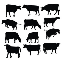 Black Cow Silhouette Set: Collection of cow silhouette in various poses, capturing the farm animal's iconic form, perfect for adding a touch of countryside charm to any design.