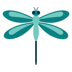 Dragonfly vector icon isolated on white background