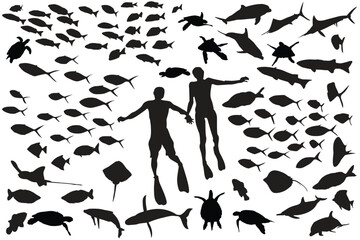 Underwater Couple Silhouette: A romantic couple snorkeling amidst a vibrant school of fish, their silhouettes creating a striking contrast against the lively marine life.