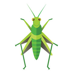 Grasshopper vector icon isolated on white background