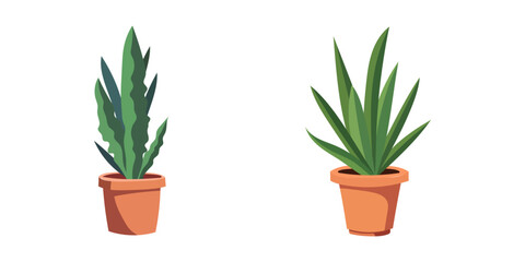 House plants in pots. Element for design house, room or office. Isolated element on white background.