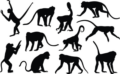 Monkey Silhouettes Collection - A Playful Array of Black Monkey Designs Featuring Various Poses and Movements Perfect for Illustrations, Logos, and Wildlife Projects.