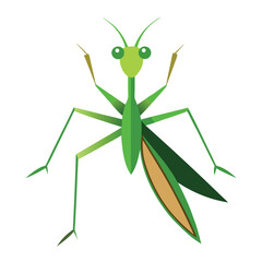 Mantis vector icon isolated on white background