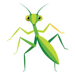 Mantis vector icon isolated on white background