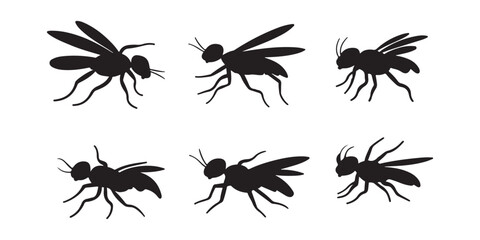Insect Silhouettes Collection - Featuring Various Flying Insects for Illustrations, Logos, and Nature Projects