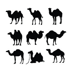 Collection of Camel Silhouettes - Featuring Various Poses and Styles for Illustrations, Logos, and Desert-Themed Projects