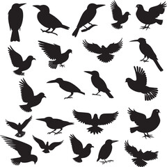 Versatile Bird Silhouettes Collection - Featuring Various Species for Illustrations, Logos, and Nature Projects