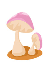 Mushrooms Illustration